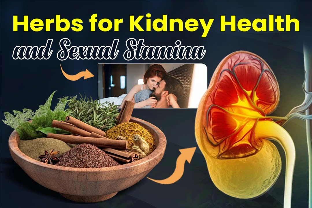 5 nutritious herbs to boost kidney & Sexual Power